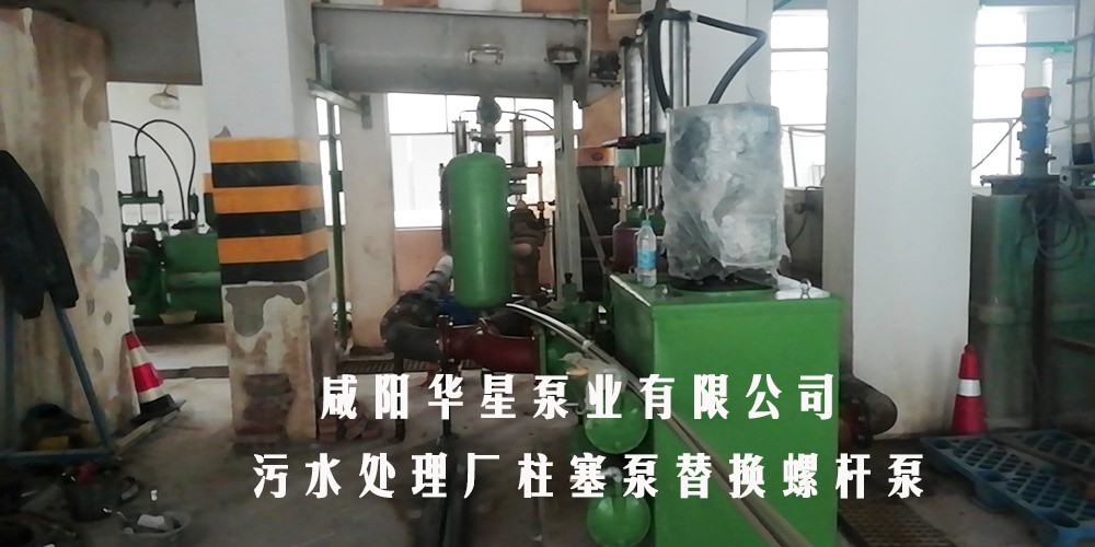 污水處理廠(chǎng)柱塞泵替換螺桿泵2